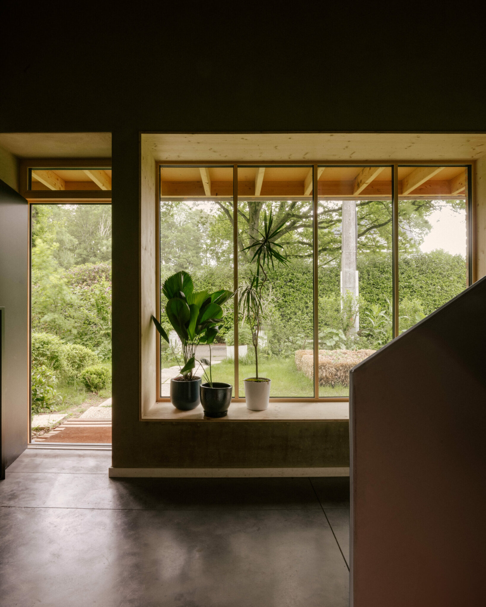 TULIPES-ATELIER-ARCHITECTURE-DHOOP-BERGE_09©Jules-Toulet-scaled