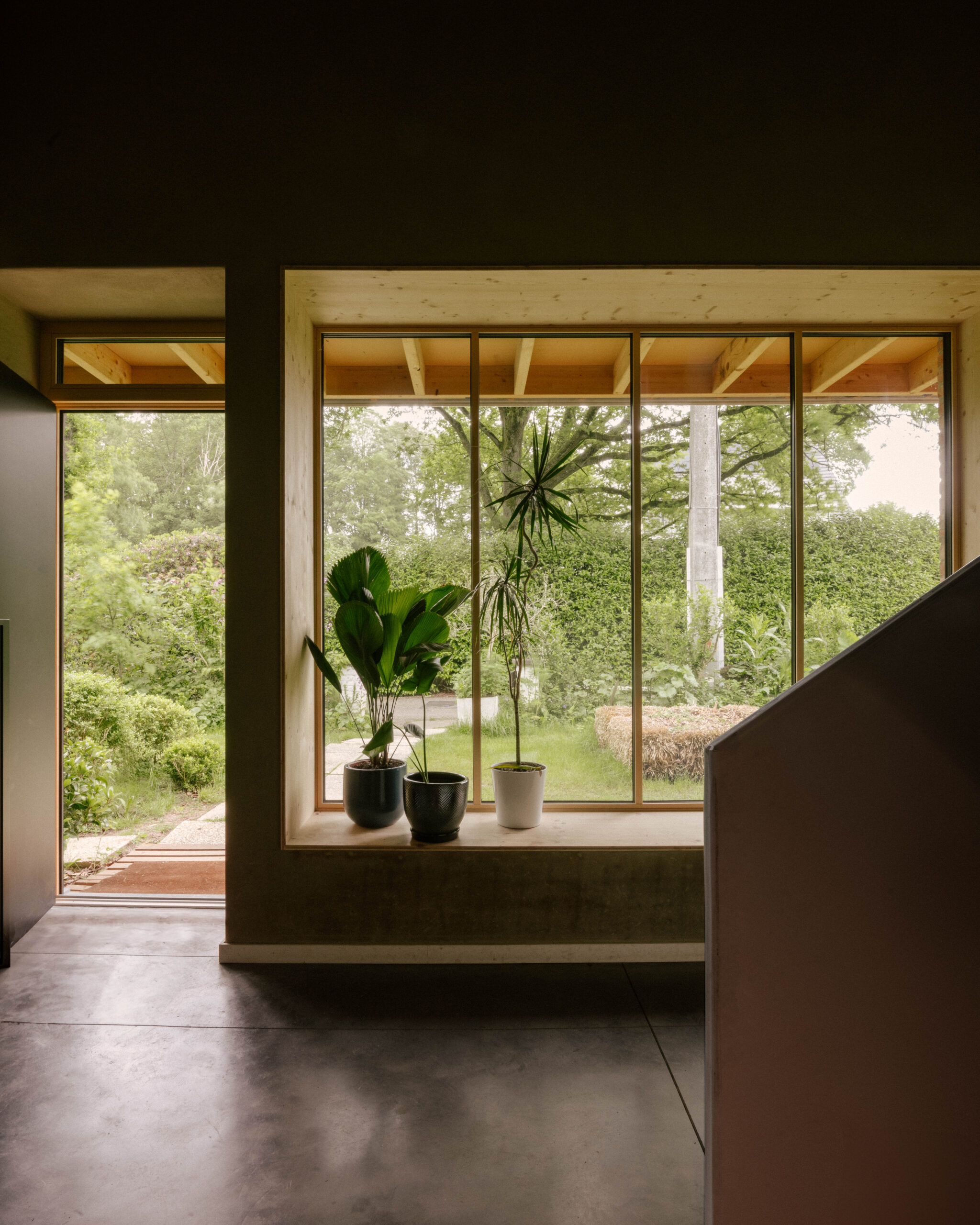 TULIPES-ATELIER-ARCHITECTURE-DHOOP-BERGE_09©Jules-Toulet-scaled